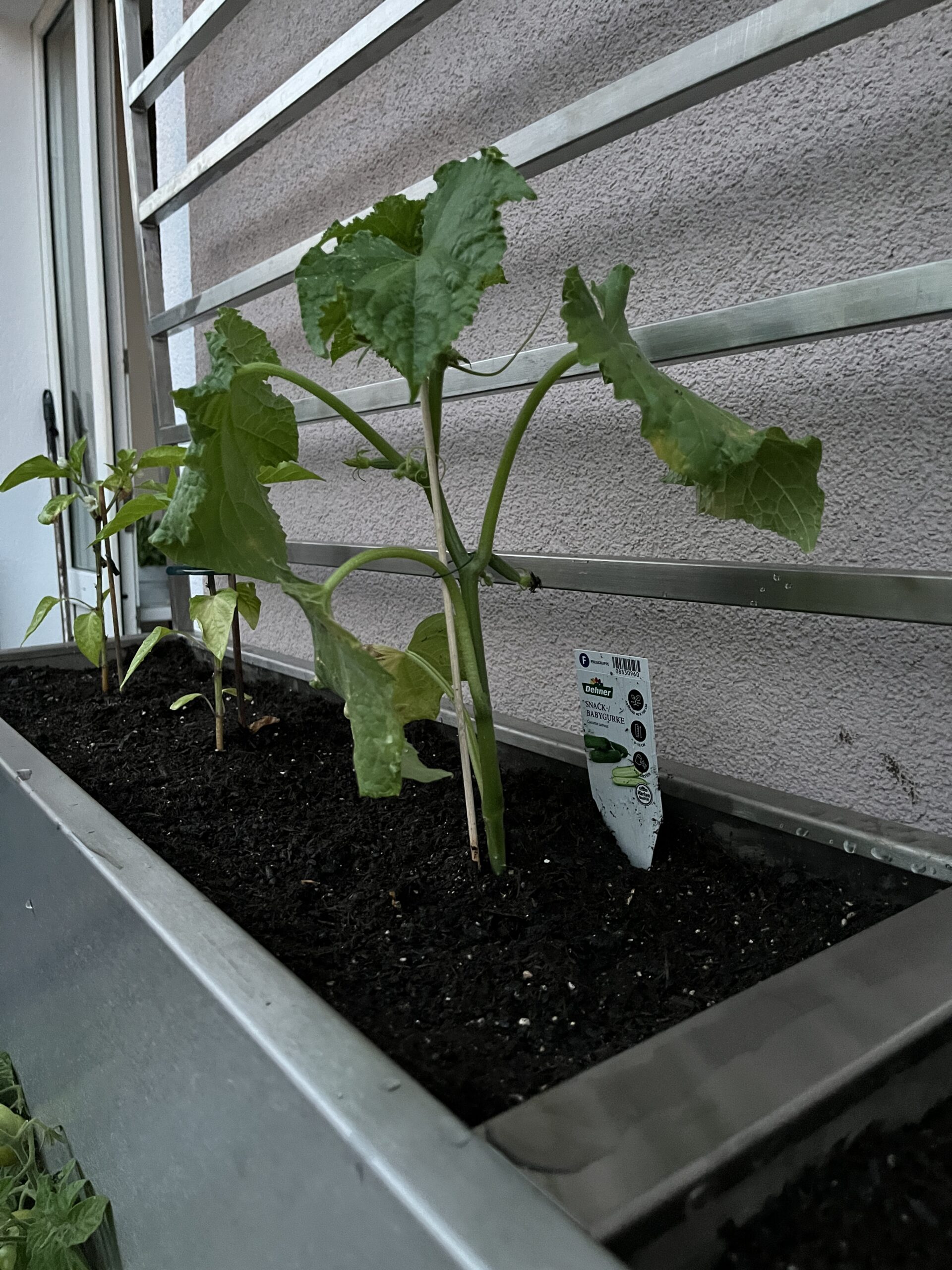 beebed - Basis Set Hochbeet - VALENTINA – Bild 9